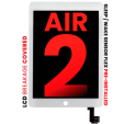 Apple iPad Air 2 Display With Sensor Flex - White AM Pro