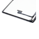 Apple iPad Pro 11" 1st Gen 2018 / iPad Pro 11" 2nd Gen 2020 Display AM Pro
