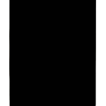 Apple iPad Pro 11" 3rd Gen 2021 / Pro 11" 4th Gen 2022 Display AM Pro