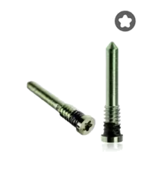 Apple iPhone 11 / 11 Pro / 11 Pro Max Bottom Screw Set (100 Pack) - Midnight Green