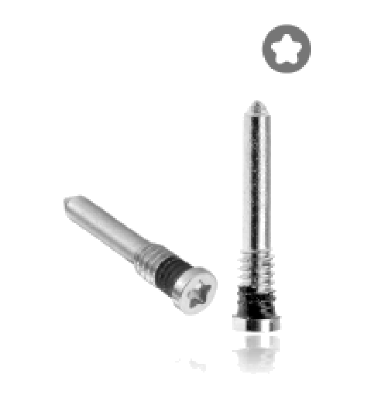 Apple iPhone X to 14 Series Bottom Screw Set (100 Pack) - Silver