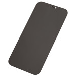 Apple iPhone 12 Pro Max Display Refurbished