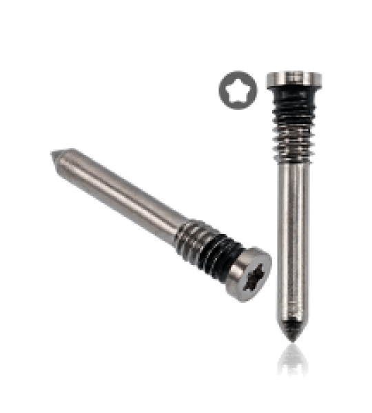 Apple iPhone 15 Pro / 15 Pro Max Bottom Screw Set (100 Pack) - Natural Titanium