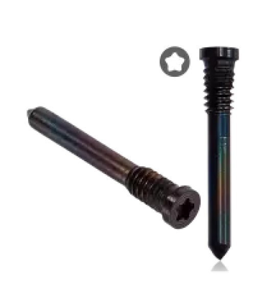 Apple iPhone 16 Series Bottom Screw Set (100 Pack) - Black