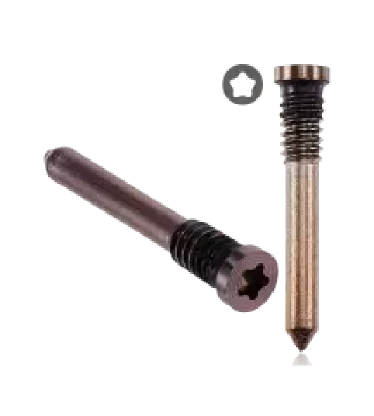 Apple iPhone 16 Pro / 16 Pro Max Bottom Screw Set (100 Pack) - Gold