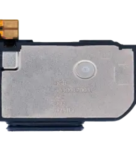 Google Pixel 5 Loudspeaker SVP