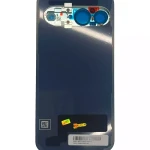 Google Pixel 9 Back Cover with Camera Lens - Wintergreen SVP