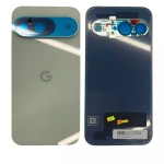 Google Pixel 9 Back Cover with Camera Lens - Wintergreen SVP
