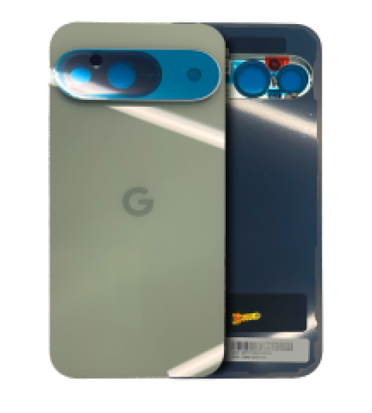 Google Pixel 9 Back Cover with Camera Lens - Wintergreen SVP