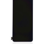 OnePlus 9 Display (No Frame) AM Plus