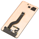 Samsung Galaxy S20 Plus Display (No Frame) SVP
